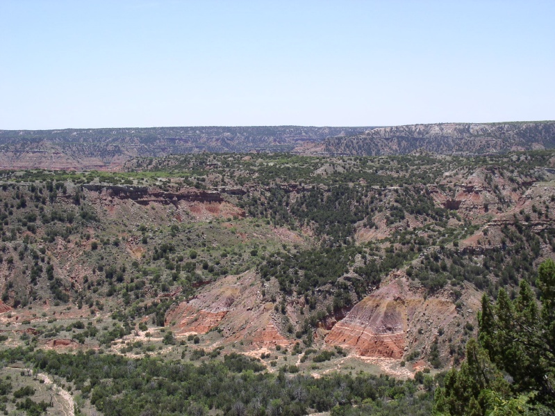 View from Ridge