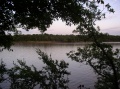 View across shore