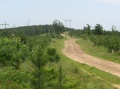 Road along Ridgs