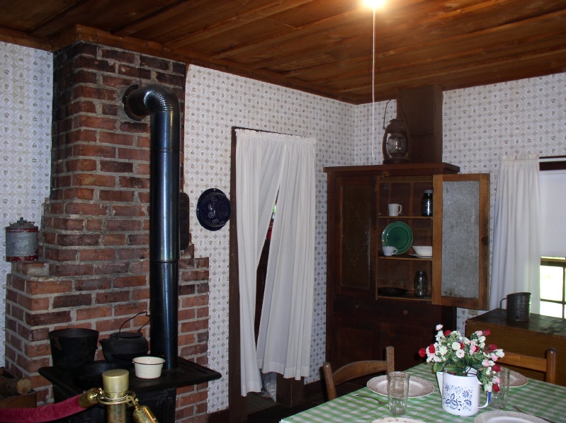 Kitchen in Elvis House