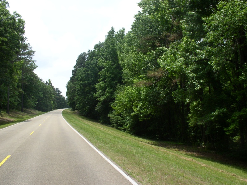 Current Trail