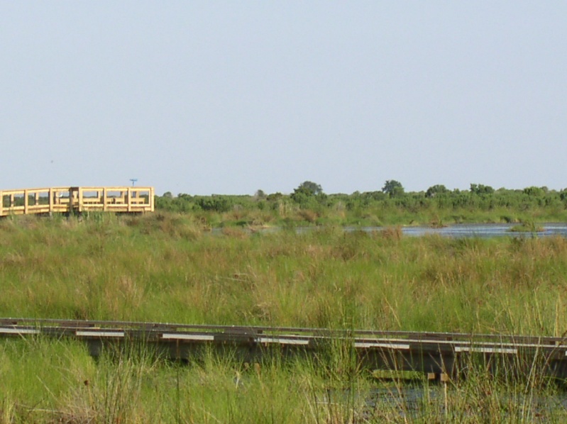 Boardwalk view platform