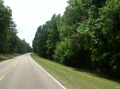 Current Trail