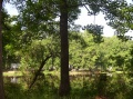 Loess Bluff Campsite