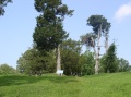 Cannons on the hill