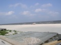 More Coastline