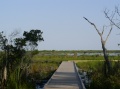 Boardwalk Nature Trail