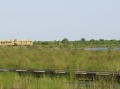 Boardwalk view platform