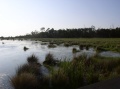 View from boardwalk