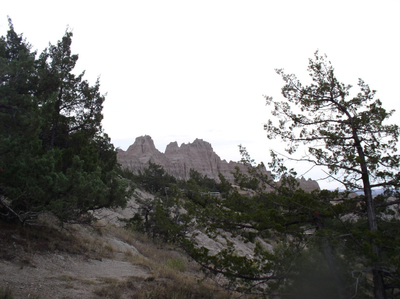 RidgeLine