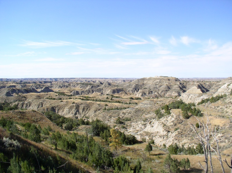 Canyons in TR