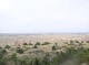 Overlook 2