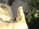 Rock Spire