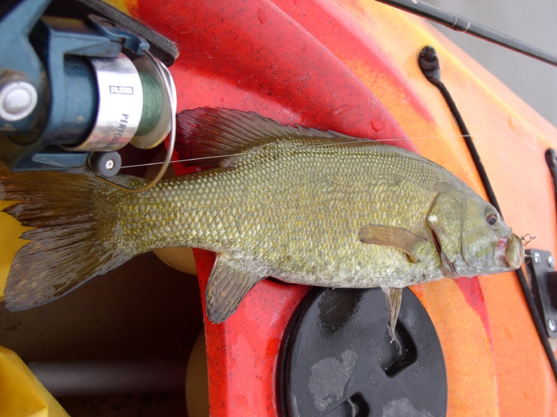 My biggest Fish caught