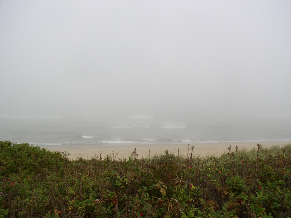 Beach on Cape cod