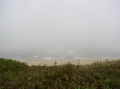 Beach on Cape cod