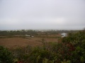 More of Dune Area