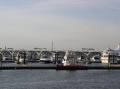 Woodrow Wilson Draw Bridge